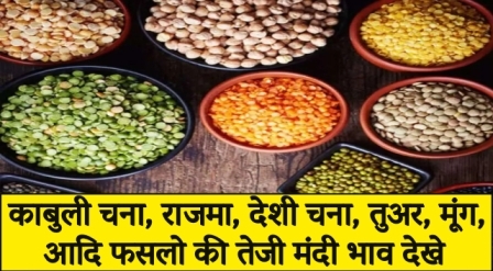 fast rate of crops Kabuli Chana, Rajma, Mustard, Desi Chana, Tuar, Moong, Bajra etc