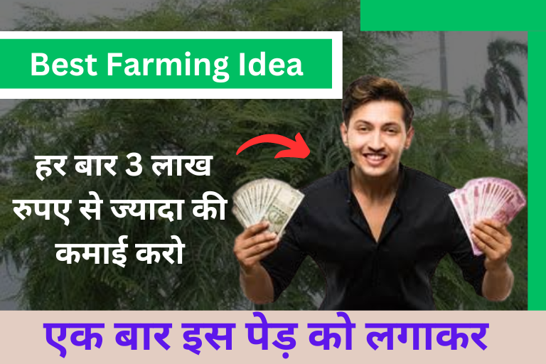 Best farming idea