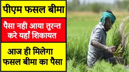 PM crop insurance money did not come, immediately complain here