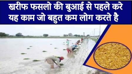 Do this work before sowing Kharif crops