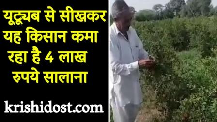 This farmer is earning Rs 4 lakh annually by learning from YouTube