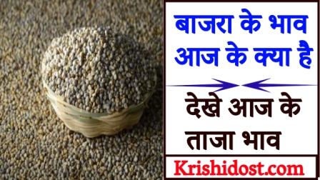 What is the price of millet today
