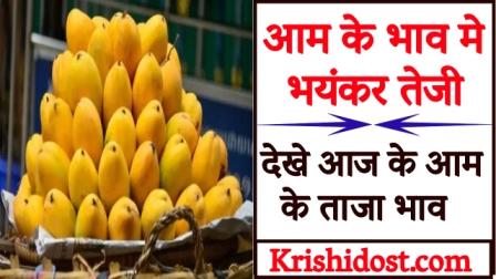 fierce-rise-in-mango-prices-see-today-latest-prices