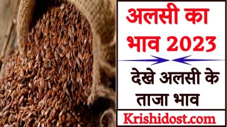 linseed price 2023 see latest linseed price