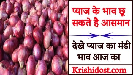 onion-prices-can-touch-the-sky-see-todays-onion-market-price