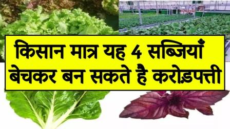 Farmers can become crorepati by selling only these 4 vegetables