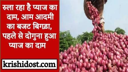 Onion price is making us cry, common man's budget is spoiled