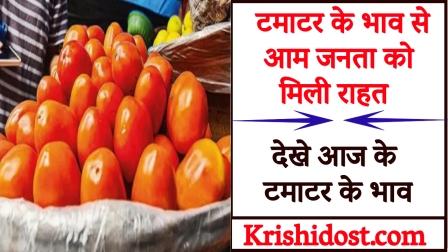 The general public got relief from the price of tomato