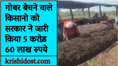 The government released 5 crore 60 lakh rupees to the farmers selling cow dung.