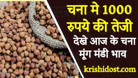 chana-prices-rise-by-rs-1000-see-todays-chana-prices