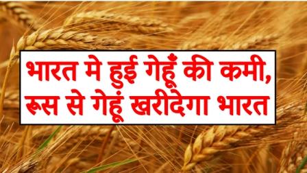 wheat-shortage-in-india-india-will-buy-wheat-from-russia