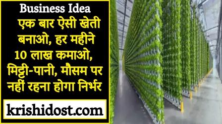 Business Idea Make such a farm once, earn Rs 10 lakh every month