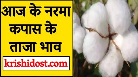 Latest cotton prices 22 September 2023