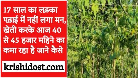 Today a 17 year old boy is earning Rs 40 to 45 thousand per month by farming.