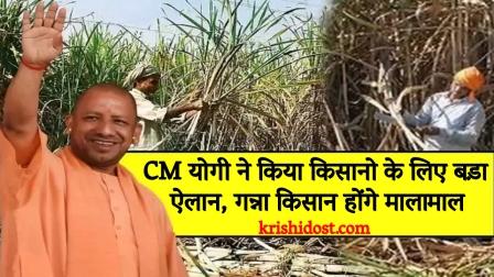 UP News CM Yogi made a big announcement for farmers