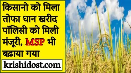 farmers-got-a-gift-paddy-purchase-policy-got-approval-msp-also-increased