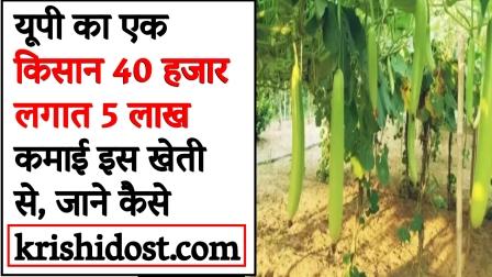 A farmer from UP earns Rs 5 lakh by investing Rs 40 thousand