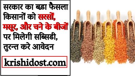 Government's big decision to provide mustard, lentils and gram to farmers