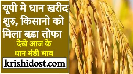 Paddy procurement started in UP, farmers got a big gift