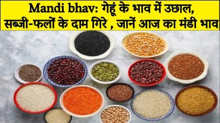 mandi-bhav-wheat-prices-rise-vegetable-and-fruit-prices-fall