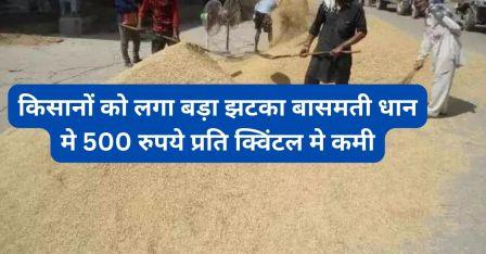 Farmers got a big shock, Basmati paddy reduced by Rs 500 per quintal.