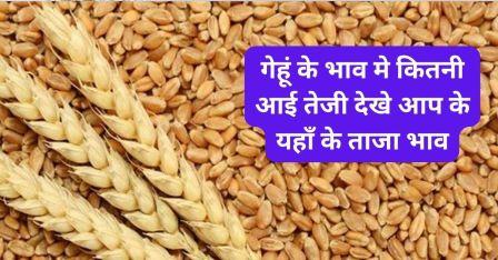 How much has the price of wheat increased See the latest prices here.