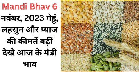 Mandi Bhav 6 November 2023 Prices of wheat, garlic and onion