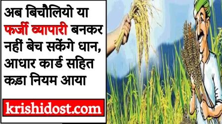 Now paddy will not be able to be sold as middlemen or fake traders