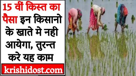 Which farmers will not get the money of 15th installment in their account