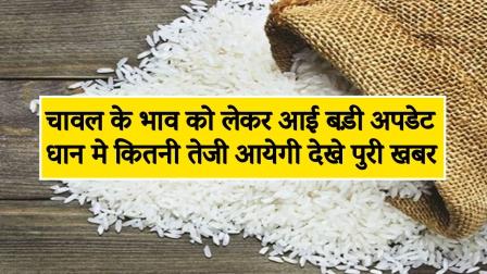 Big update regarding the price of rice