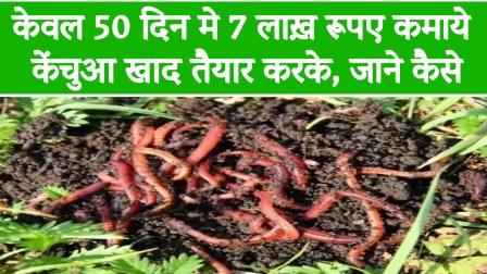 Earned Rs 7 lakh in just 50 days by preparing earthworm manure.